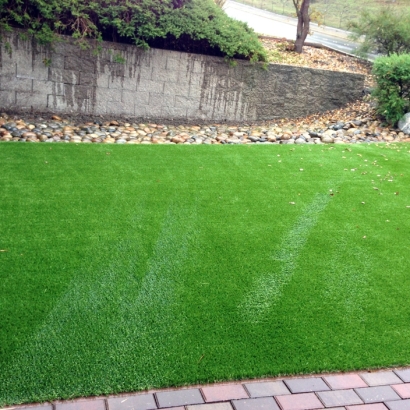 Green Lawn Copperton, Utah Fake Grass For Dogs, Backyard Design