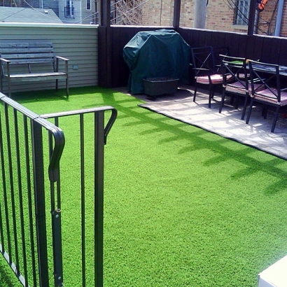 Lawn Services Elk Ridge, Utah Artificial Turf For Dogs, Backyard Design