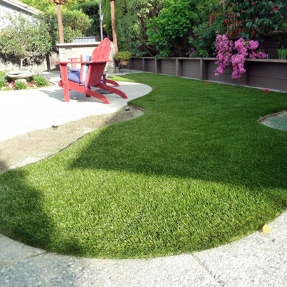 Lawn Services Fillmore, Utah Dog Park, Backyard Landscape Ideas