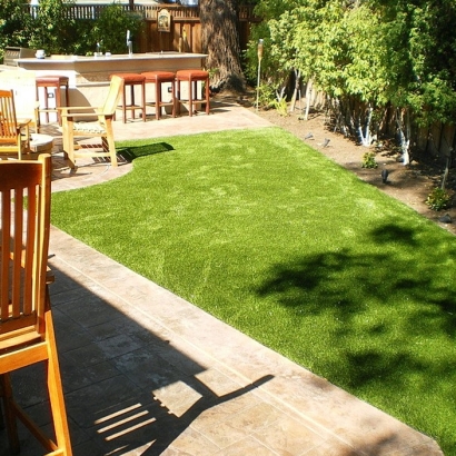 Lawn Services Parowan, Utah Pet Grass, Backyard