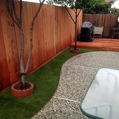 Lawn Services Summit Park, Utah Pet Grass, Backyard Landscaping