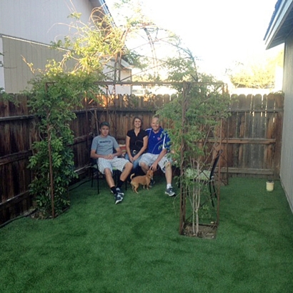 Lawn Services Veyo, Utah Pet Turf, Grass for Dogs