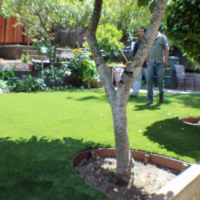 Outdoor Carpet Beaver, Utah Landscaping Business, Backyard Designs