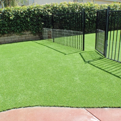 Outdoor Carpet Cedar Hills, Utah Rooftop, Front Yard Design