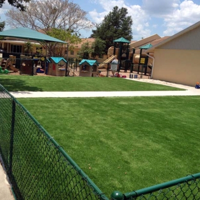 Plastic Grass Fremont, Utah Backyard Deck Ideas, Commercial Landscape