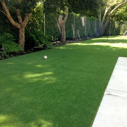 Plastic Grass Oakley, Utah Landscaping Business