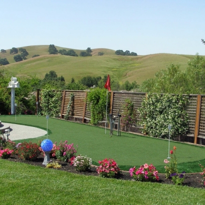 Synthetic Grass Cost Cannonville, Utah Indoor Putting Greens, Backyard Designs