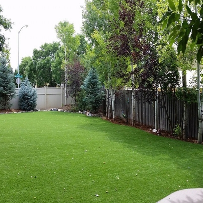 Synthetic Grass Cost South Salt Lake, Utah Pictures Of Dogs, Backyard Design
