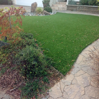 Synthetic Grass Cost Torrey, Utah Lawn And Garden, Backyard Garden Ideas