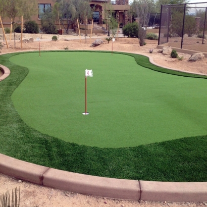 Synthetic Grass Salt Lake City, Utah Indoor Putting Green, Backyard Garden Ideas