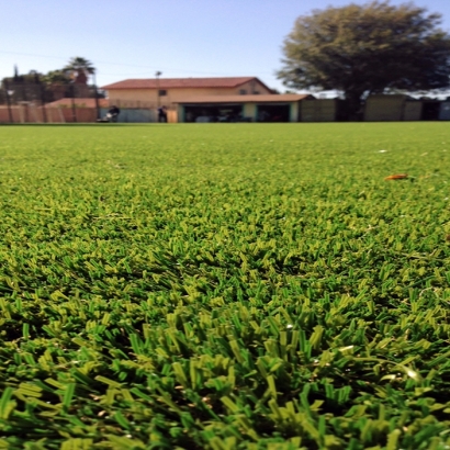 Synthetic Grass Samak, Utah City Landscape