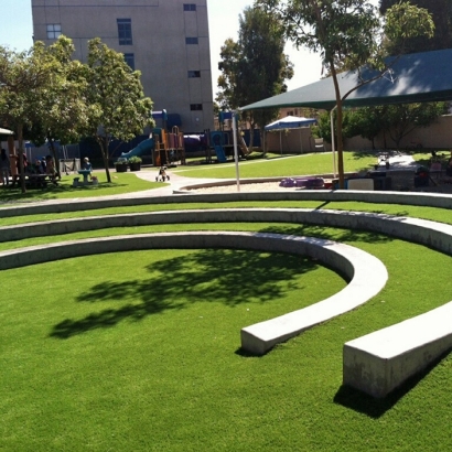 Synthetic Turf Smithfield, Utah Backyard Playground, Commercial Landscape