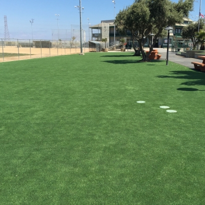 Synthetic Turf Supplier Goshen, Utah Lawn And Garden, Recreational Areas