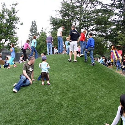 Synthetic Turf Supplier South Ogden, Utah Rooftop, Parks