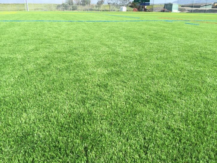 Artificial Grass Blanding, Utah Roof Top