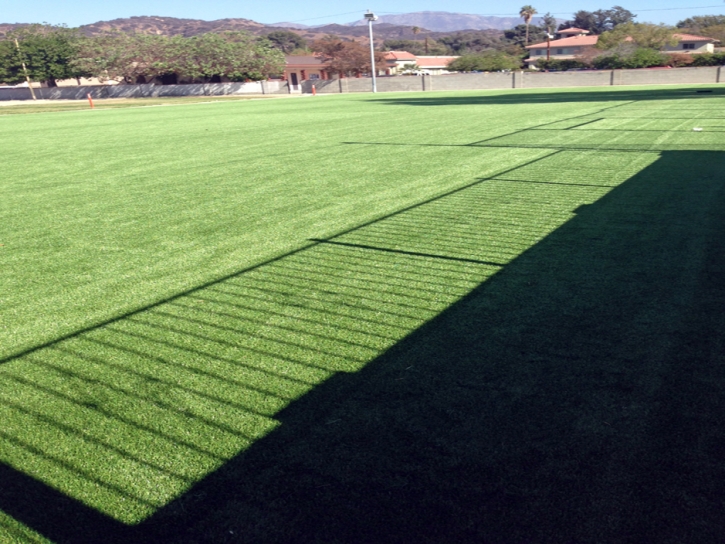 Artificial Grass Carpet Montezuma Creek, Utah Landscaping Business