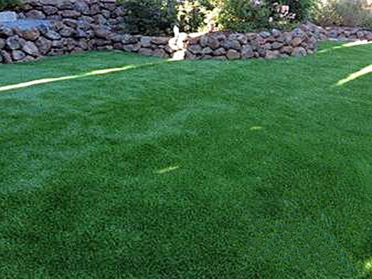 Artificial Grass Carpet Oasis, Utah Dog Grass, Backyard Landscaping