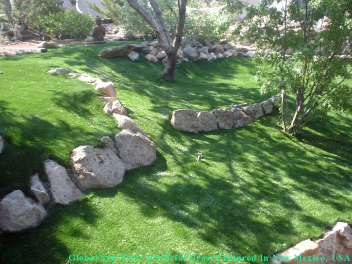 Artificial Grass Carpet Ogden, Utah Landscape Ideas, Pavers