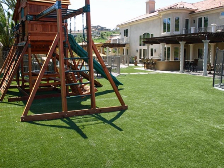 Artificial Grass Carpet Richmond, Utah Rooftop, Backyard Garden Ideas