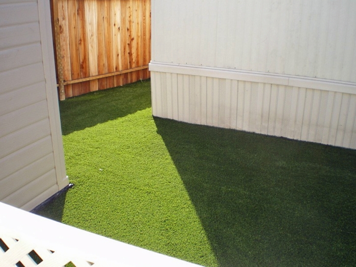 Artificial Grass Carpet Tselakai Dezza, Utah City Landscape, Backyard Designs