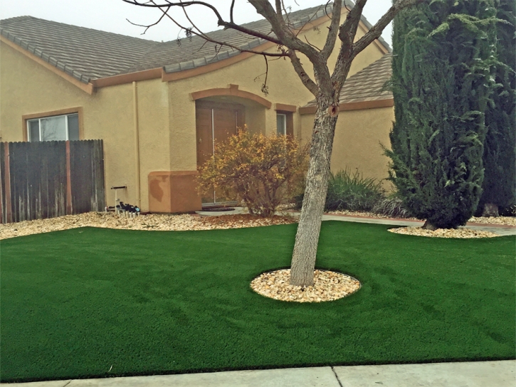 Artificial Grass Installation Salina, Utah Garden Ideas, Front Yard Ideas