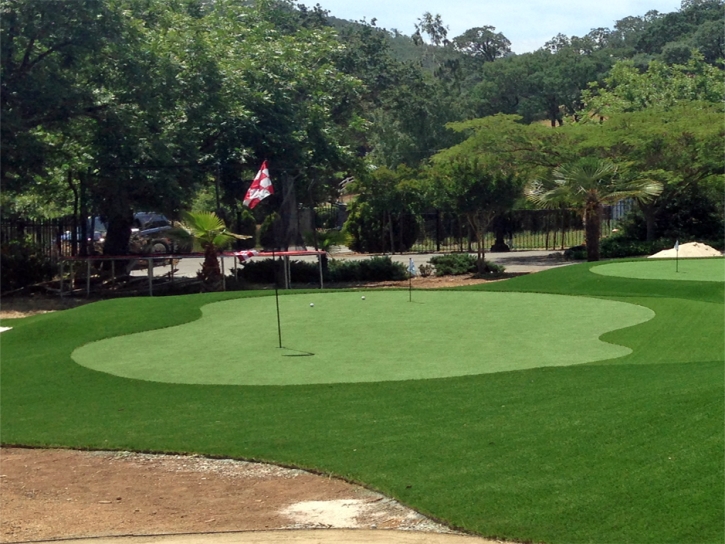 Artificial Grass Lindon, Utah Backyard Putting Green, Landscaping Ideas For Front Yard