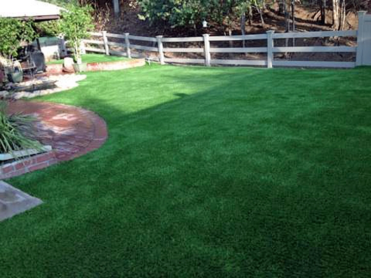 Artificial Grass Vernon, Utah Dog Pound, Backyard Designs
