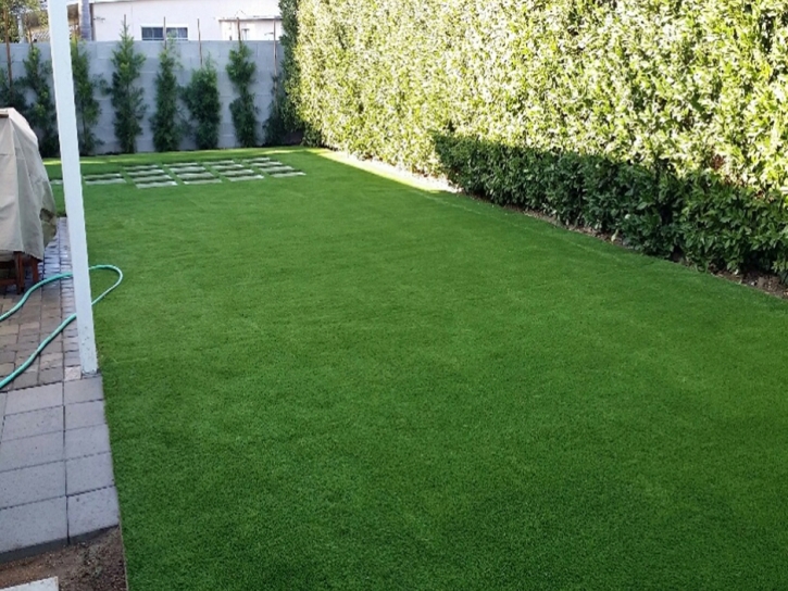 Artificial Lawn Bluffdale, Utah City Landscape, Backyard Landscaping Ideas