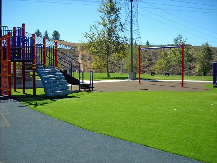 Artificial Turf Cost Castle Valley, Utah Paver Patio, Recreational Areas