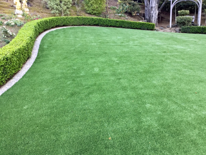 Artificial Turf Cost Elk Ridge, Utah Design Ideas, Backyard