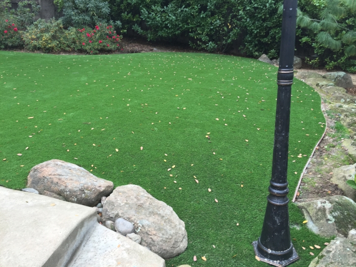 Artificial Turf Cost Parowan, Utah Backyard Deck Ideas, Backyard Design