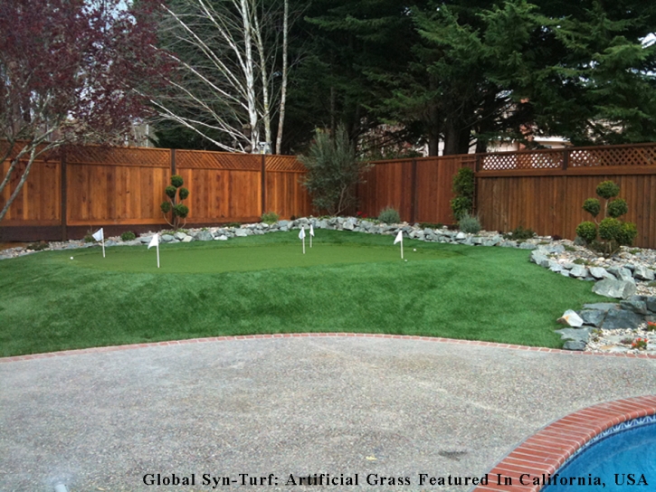 Artificial Turf Logan, Utah Artificial Putting Greens, Backyard Landscaping