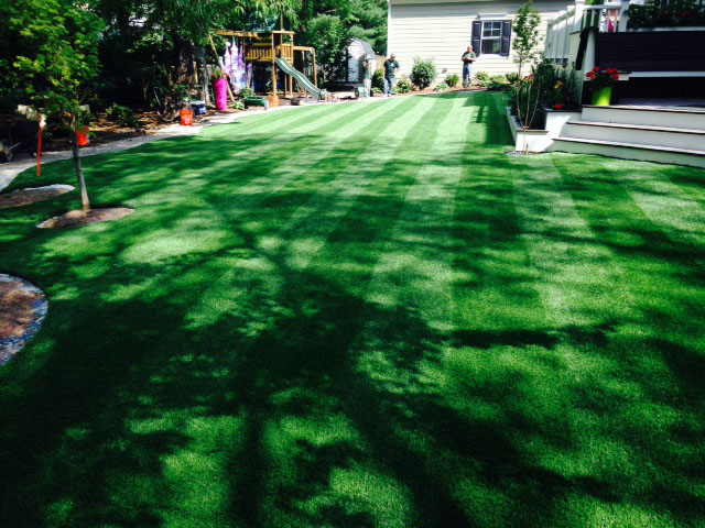 Best Artificial Grass Elwood, Utah Lawn And Garden, Backyard Landscape Ideas