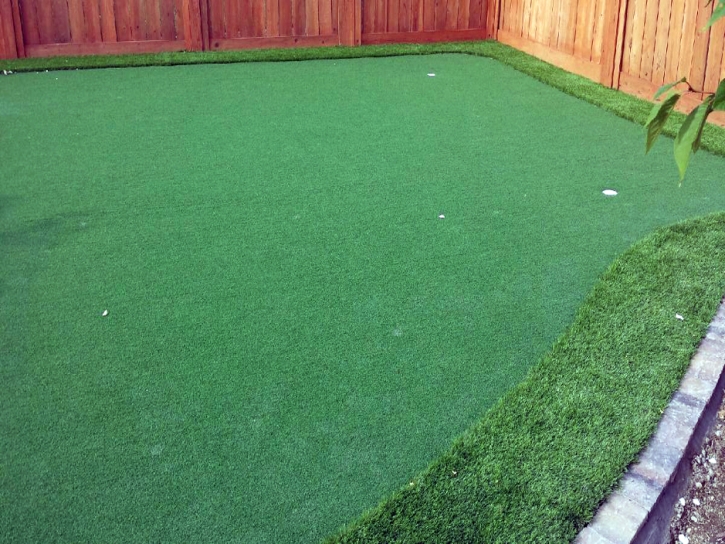 Best Artificial Grass Halchita, Utah Home Putting Green, Backyard Landscaping Ideas