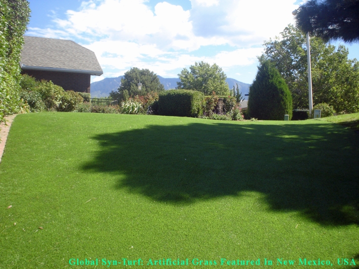 Best Artificial Grass Sandy City, Utah Pet Grass, Backyard Design