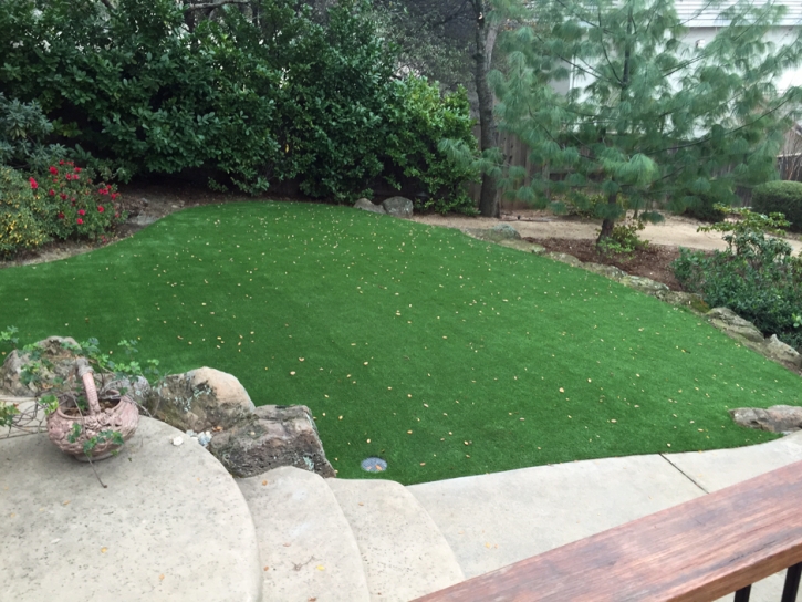 Fake Grass Carpet Gunnison, Utah Garden Ideas, Backyard Landscaping