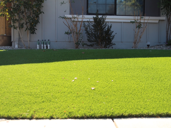 Fake Grass Carpet Lewiston, Utah Landscaping Business, Front Yard Ideas