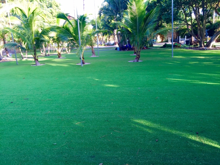 Fake Grass Carpet Marriott-Slaterville, Utah Lawn And Landscape, Landscaping Ideas For Front Yard