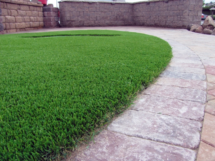 Fake Grass Carpet Mona, Utah Dogs, Front Yard Landscaping