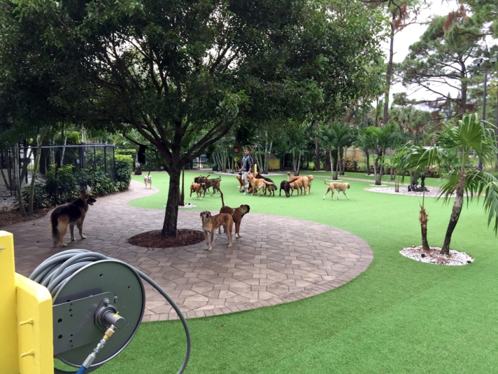 Fake Grass Carpet Payson, Utah Landscape Photos, Commercial Landscape