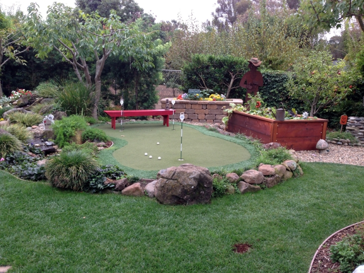 Fake Lawn Annabella, Utah City Landscape, Backyard Designs