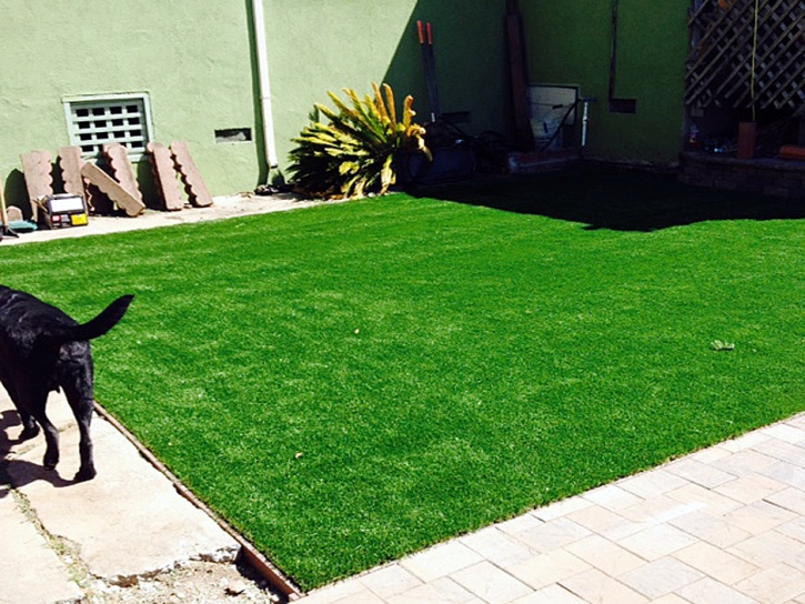 Fake Turf Farmington, Utah Watch Dogs, Backyard Garden Ideas