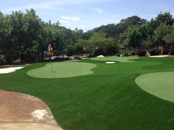 Fake Turf Newton, Utah Putting Green Carpet, Front Yard Ideas