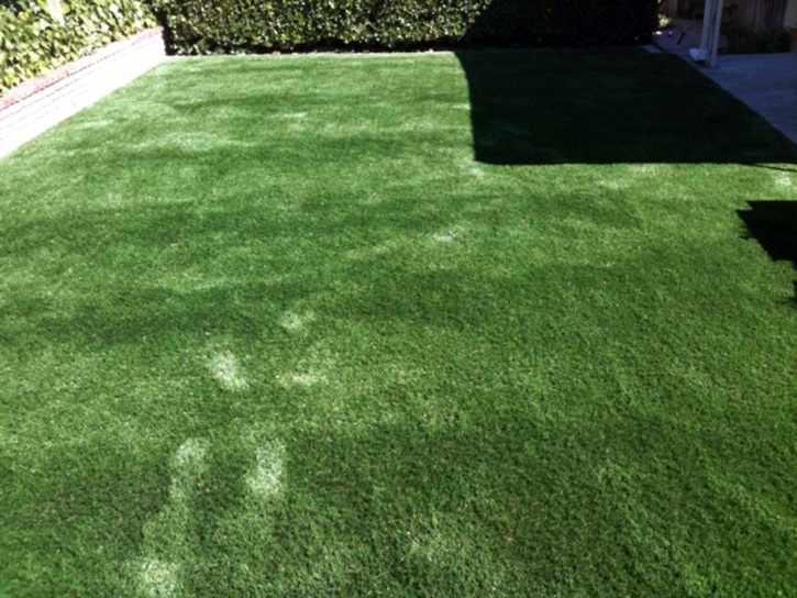 Grass Carpet Bear River City, Utah Home And Garden, Backyard Designs