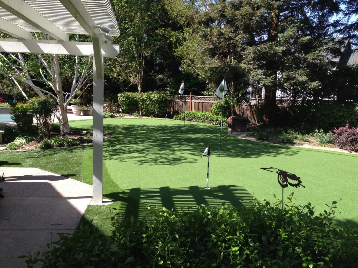 Grass Carpet Honeyville, Utah Home And Garden