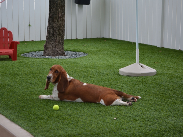 Grass Carpet Liberty, Utah Artificial Turf For Dogs, Dog Kennels