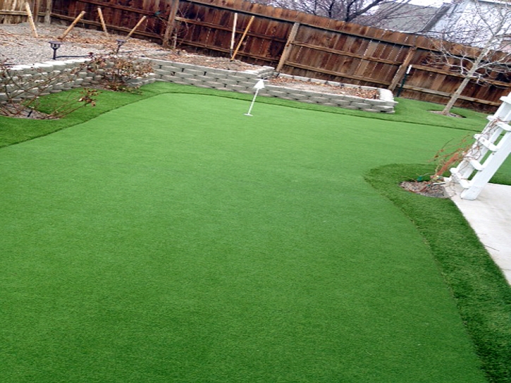 Grass Carpet Tremonton, Utah Artificial Putting Greens, Backyard