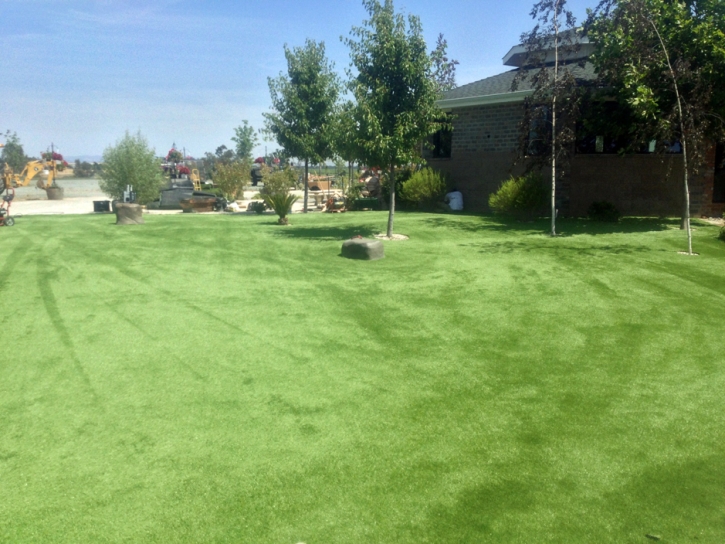 Grass Installation Naples, Utah Dog Run, Recreational Areas