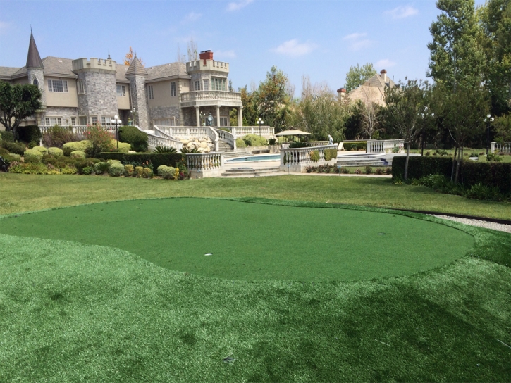 Grass Turf Holladay, Utah Landscaping Business, Front Yard Ideas