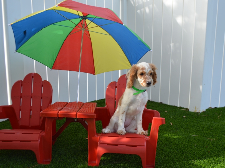 Green Lawn Mendon, Utah Artificial Turf For Dogs, Grass for Dogs